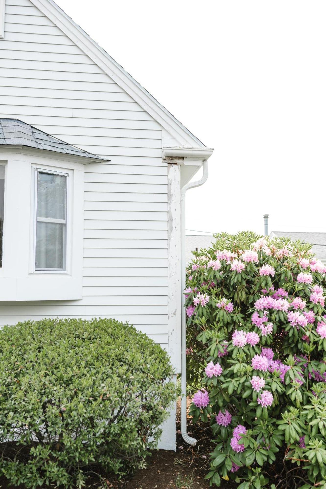 Greyfinch Chatham Inn ภายนอก รูปภาพ